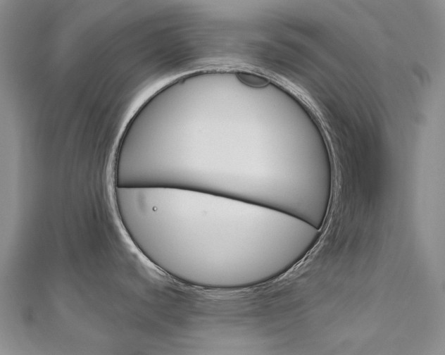 X0000113161440200909040943