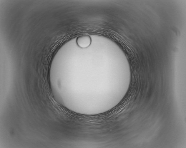X0000113161441200909040943