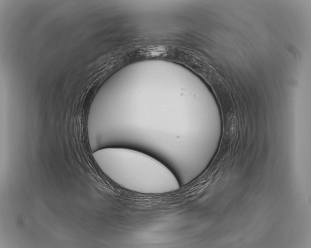 X0000113161442200909040943