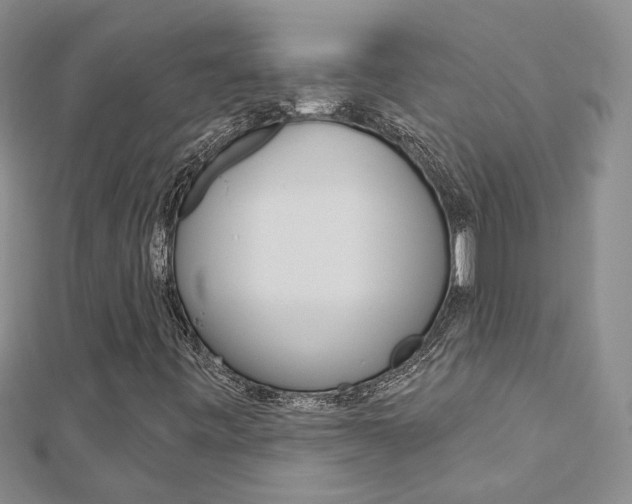 X0000113161443200909040943