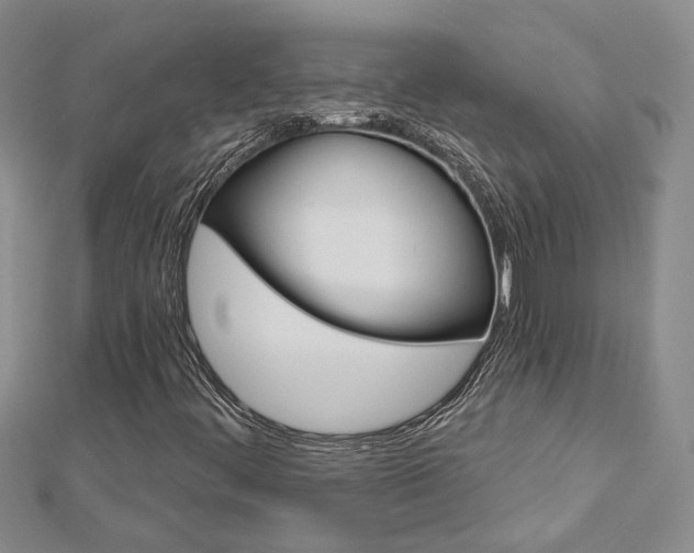 X0000113161444200909040943