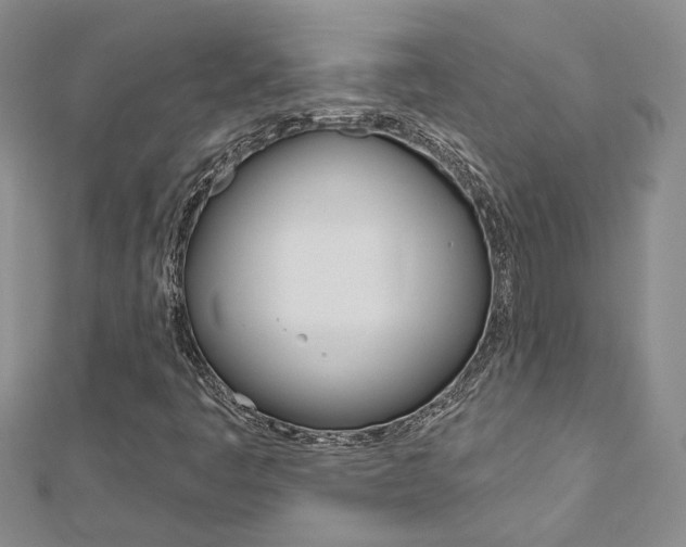 X0000113161445200909040943