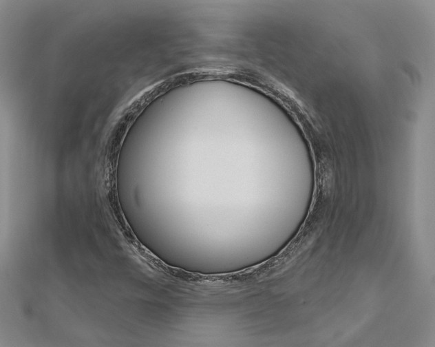 X0000113161448200909040943