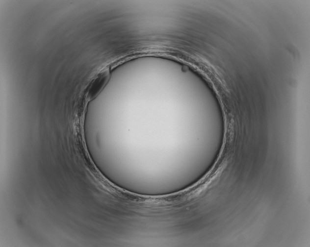X0000113161449200909040943