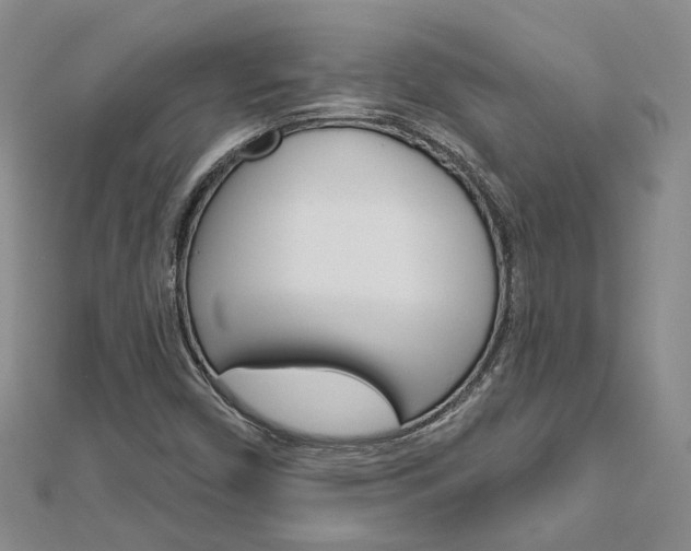 X0000113161450200909040943