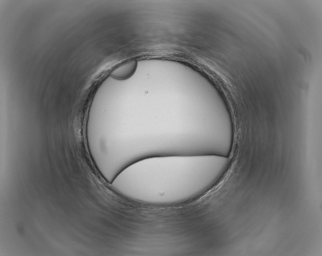 X0000113161451200909040943