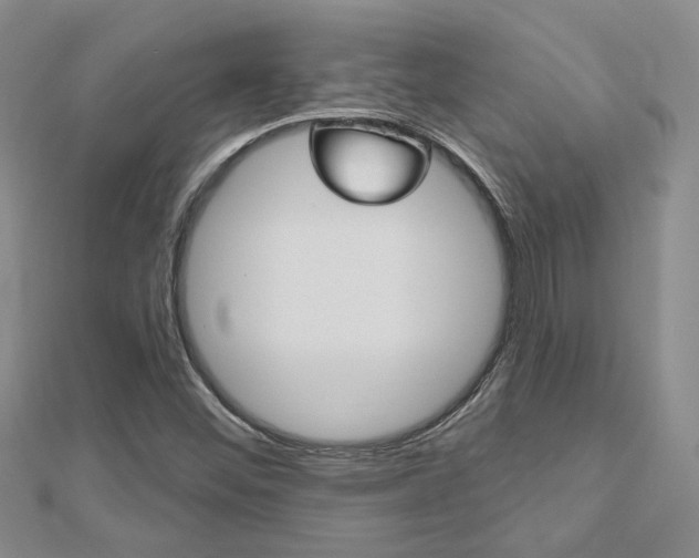 X0000113161452200909040943