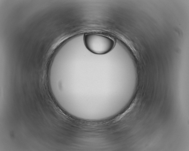 X0000113161453200909040943