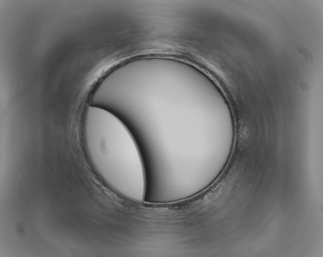 X0000113161455200909040943