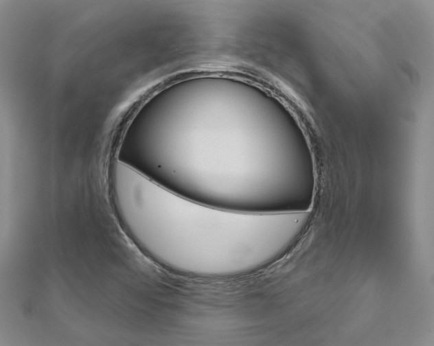 X0000113161456200909040943