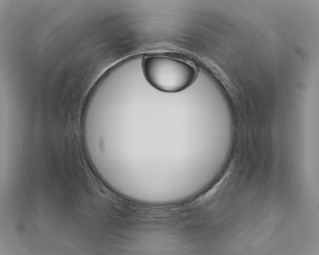 X0000113161457200909040943