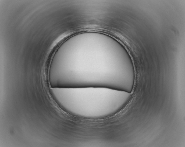 X0000113161458200909040943