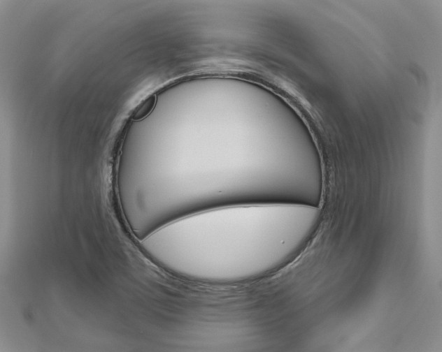 X0000113161459200909040943