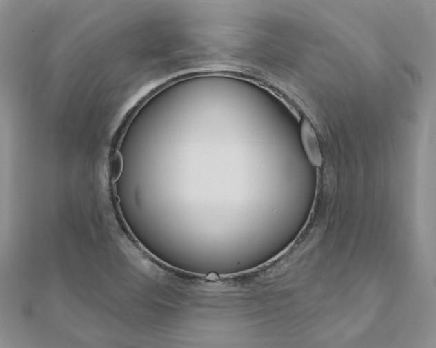 X0000113161460200909040943