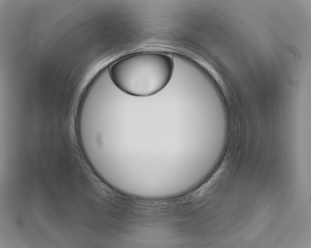 X0000113161461200909040943