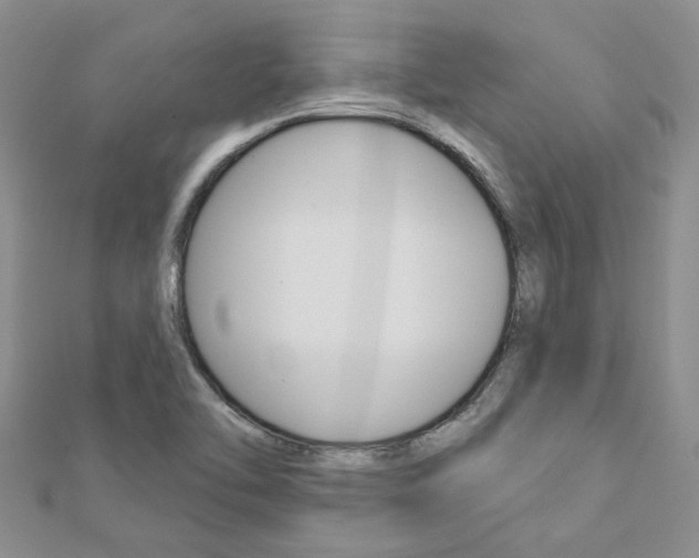 X0000113161462200909040943