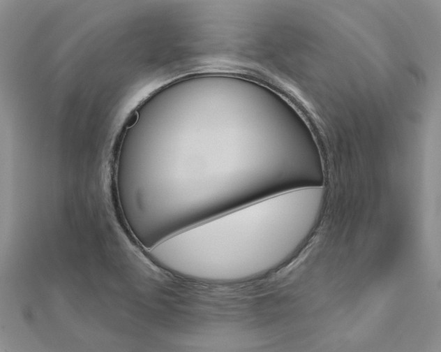 X0000113161463200909040943