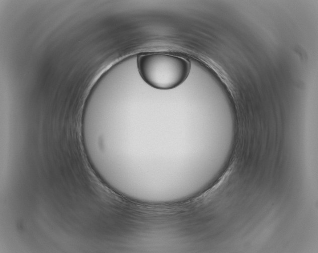 X0000113161465200909040943