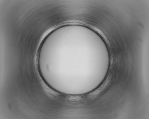 X0000113161466200909040943