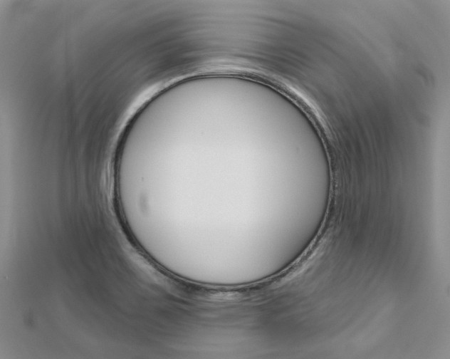 X0000113161467200909040943