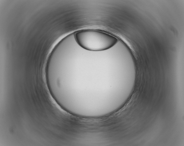X0000113161468200909040943