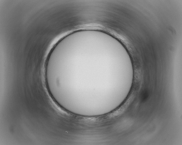 X0000113161470200909040943