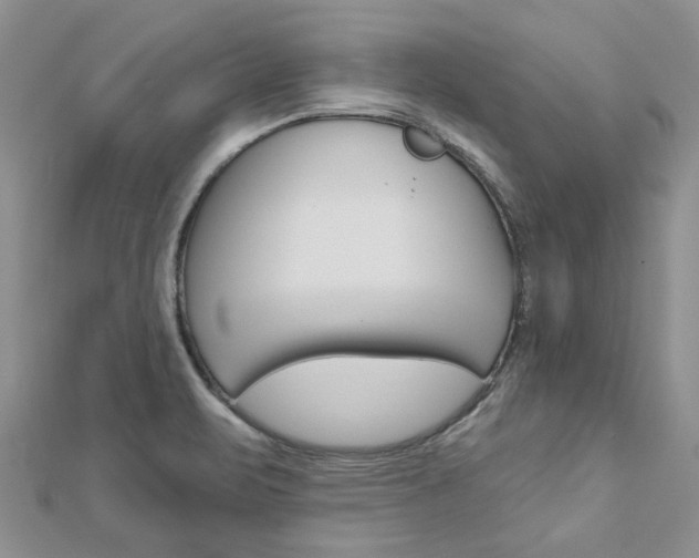 X0000113161471200909040943