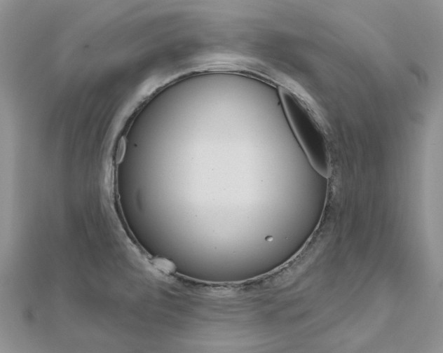 X0000113161472200909040942