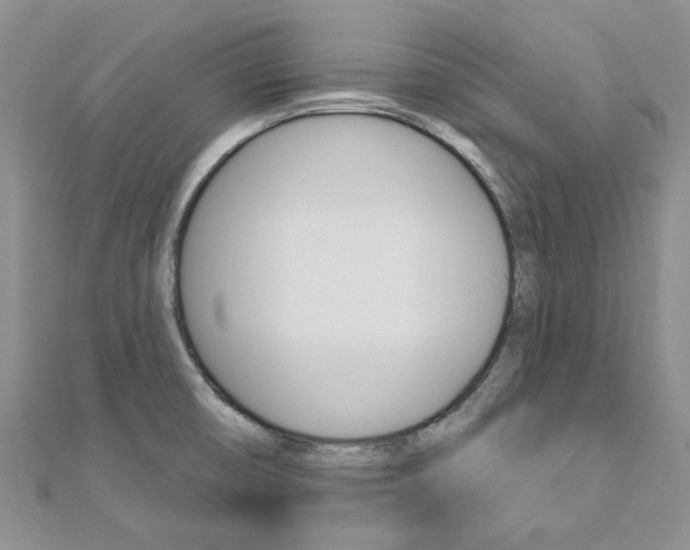 X0000113161474200909040942
