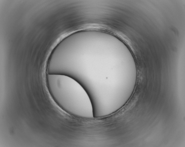 X0000113161475200909040942