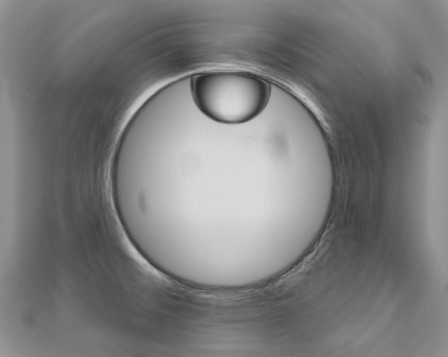 X0000113161476200909040942