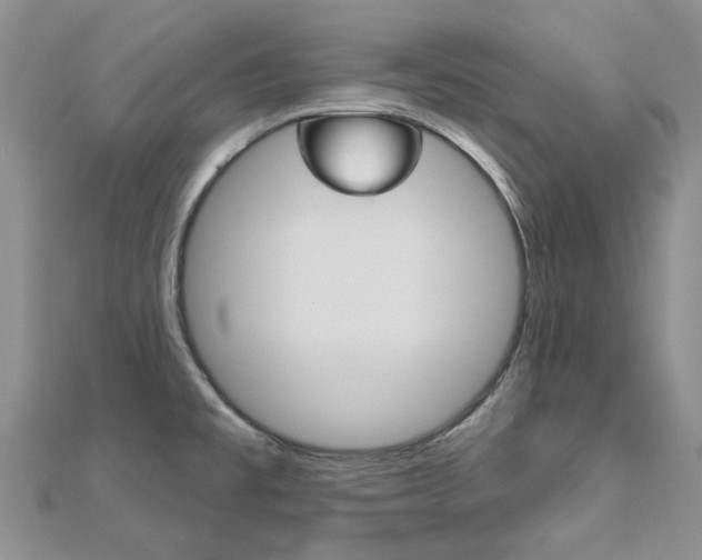 X0000113161477200909040942