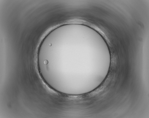 X0000113161478200909040942