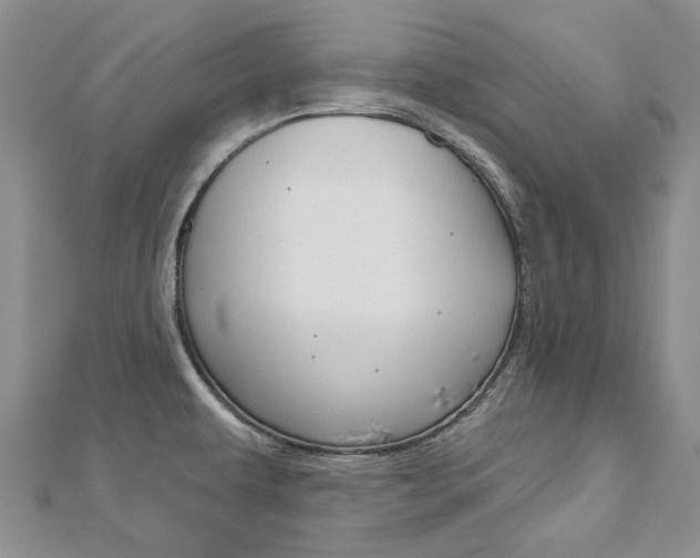 X0000113161479200909040942