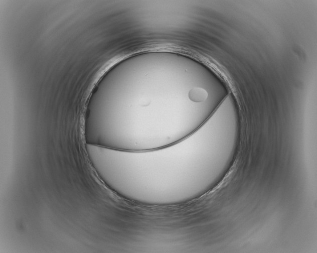 X0000113161481200909040942