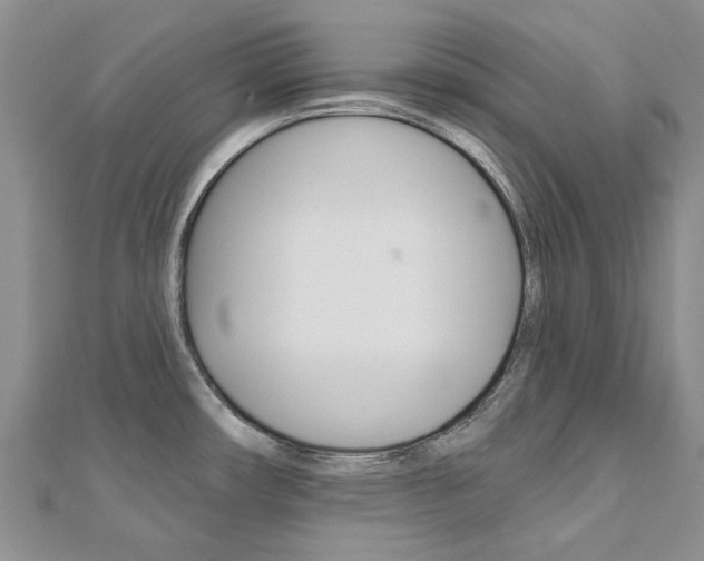 X0000113161482200909040942