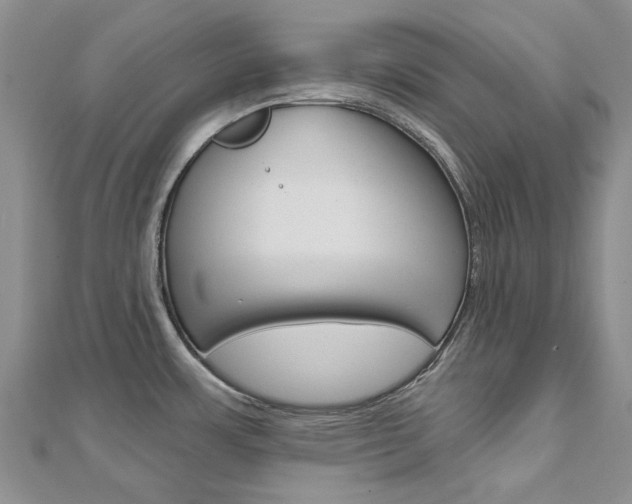 X0000113161483200909040942