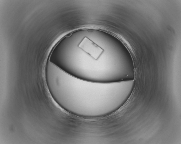 X0000113161484200909040942