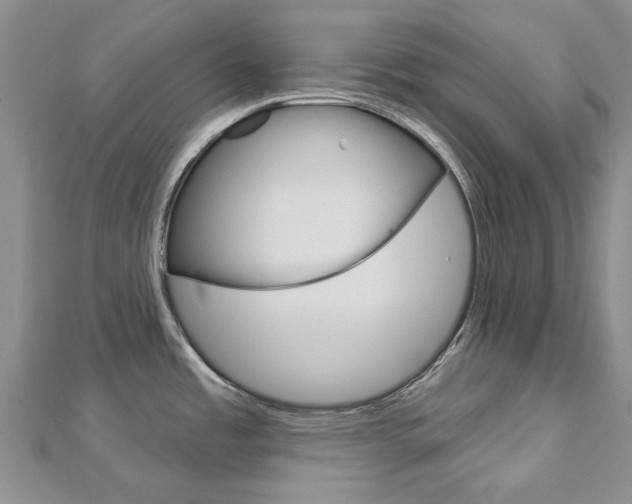X0000113161485200909040942
