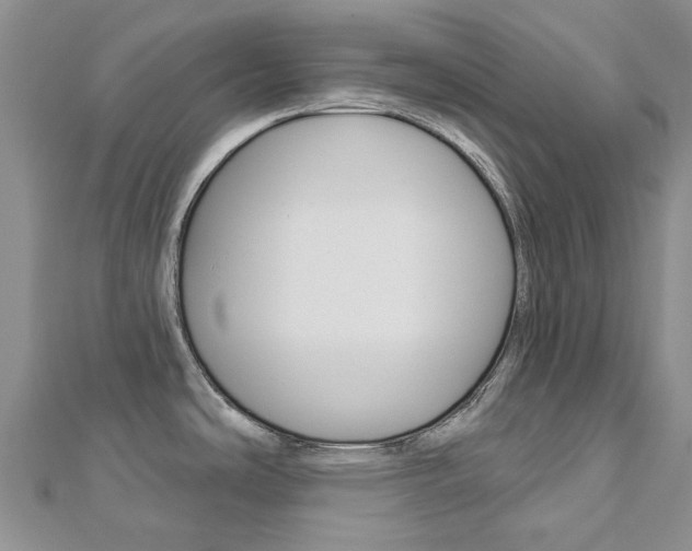 X0000113161486200909040942