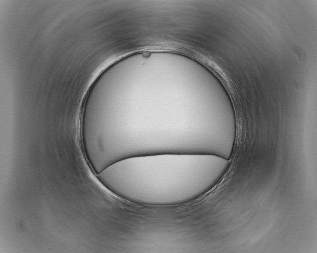 X0000113161487200909040942