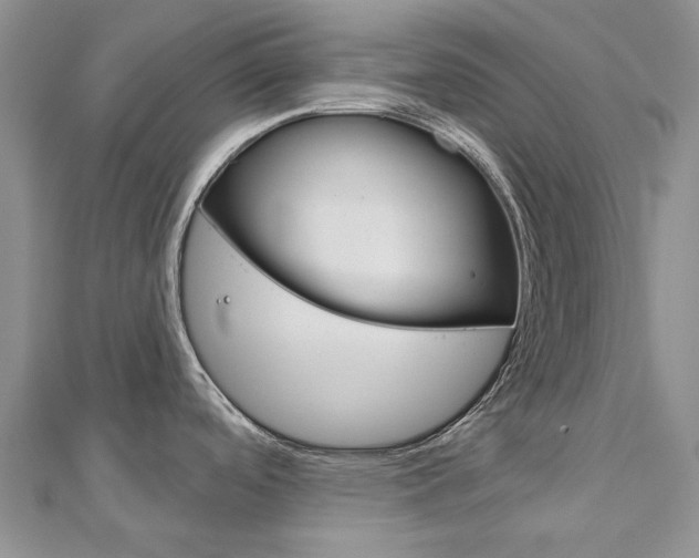 X0000113161488200909040942
