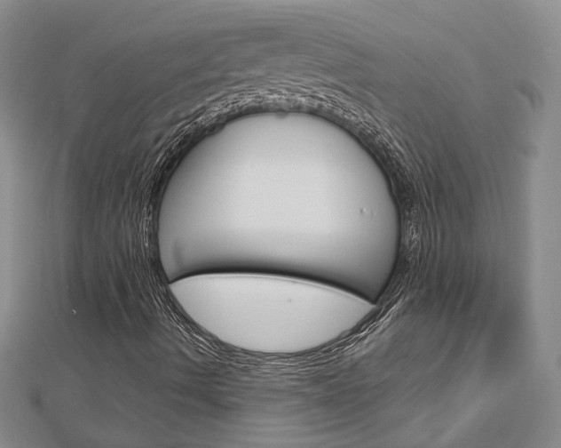 X0000113161490200909040942