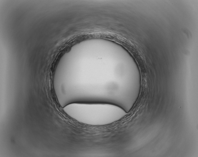 X0000113161493200909040942