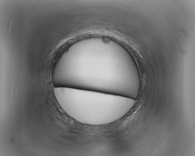 X0000113161494200909040942