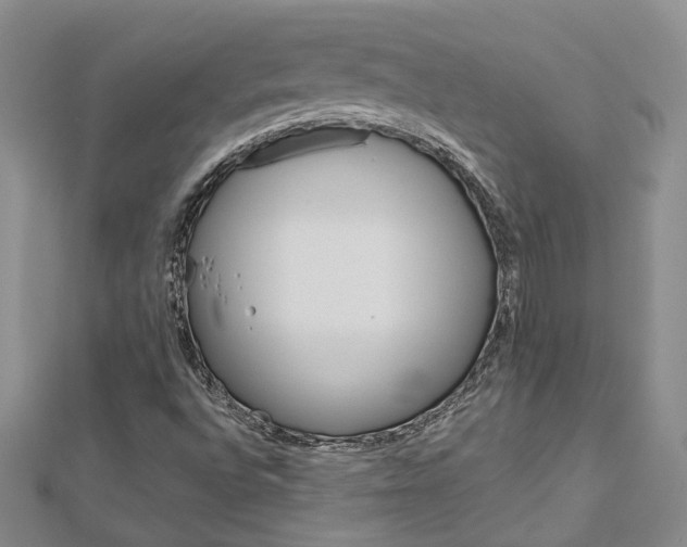 X0000113161496200909040942
