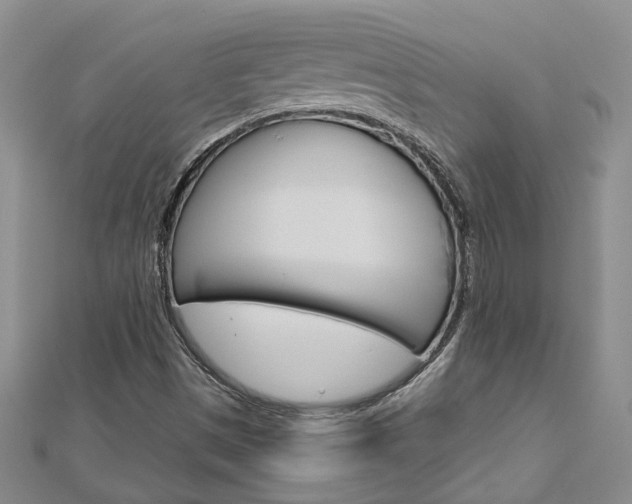 X0000113161497200909040942