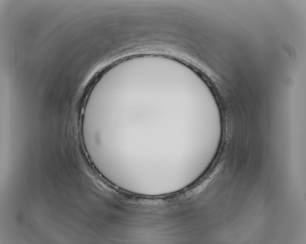 X0000113161498200909040942