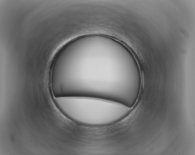 X0000113161500200909040942