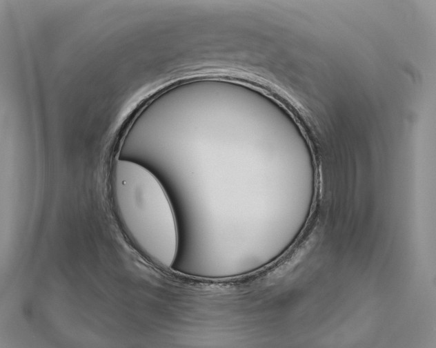X0000113161501200909040942